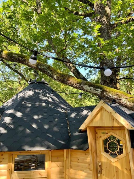 La Cabane Perchee De La Mure Bongheat المظهر الخارجي الصورة